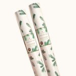 Frasier Fir® Fragranced Wrapping Paper, 2 pack